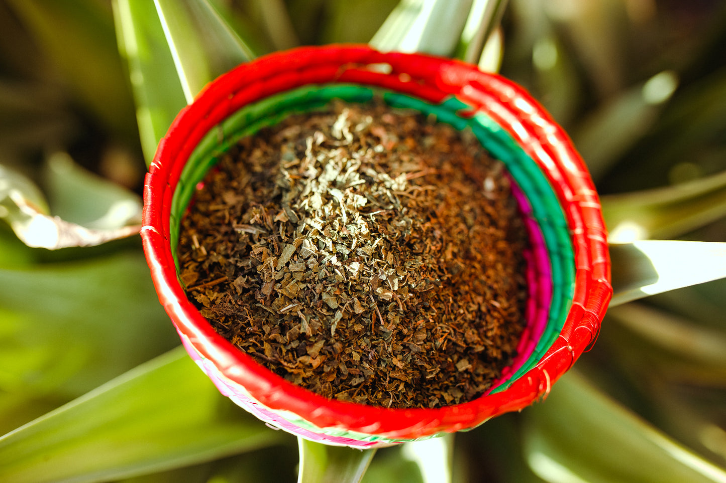Loose Leaf Nettle