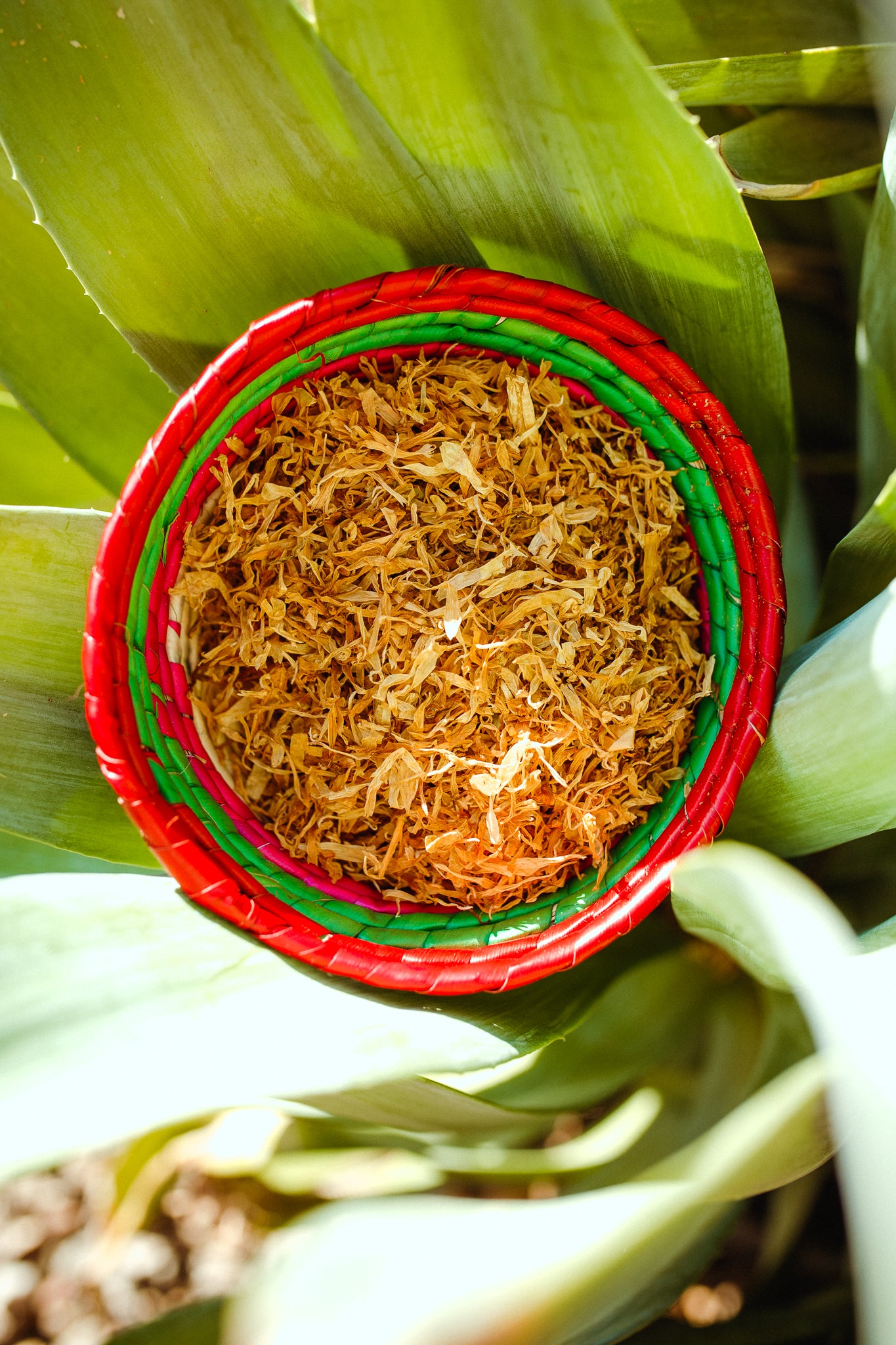 Loose Leaf Calendula