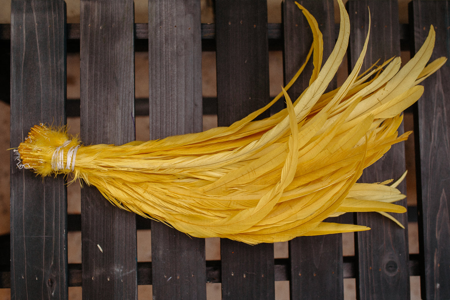 Feathers - Rooster 18 inch