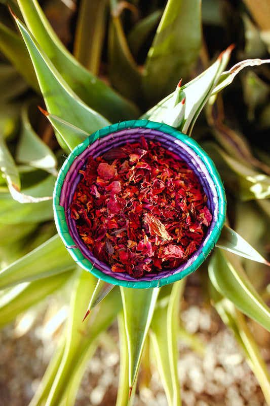 Loose Leaf Rose Petals