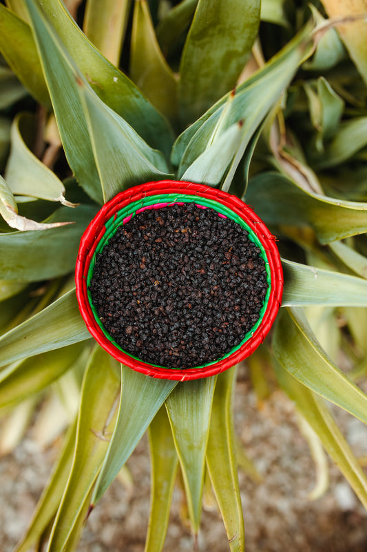 Loose Dry Elderberry