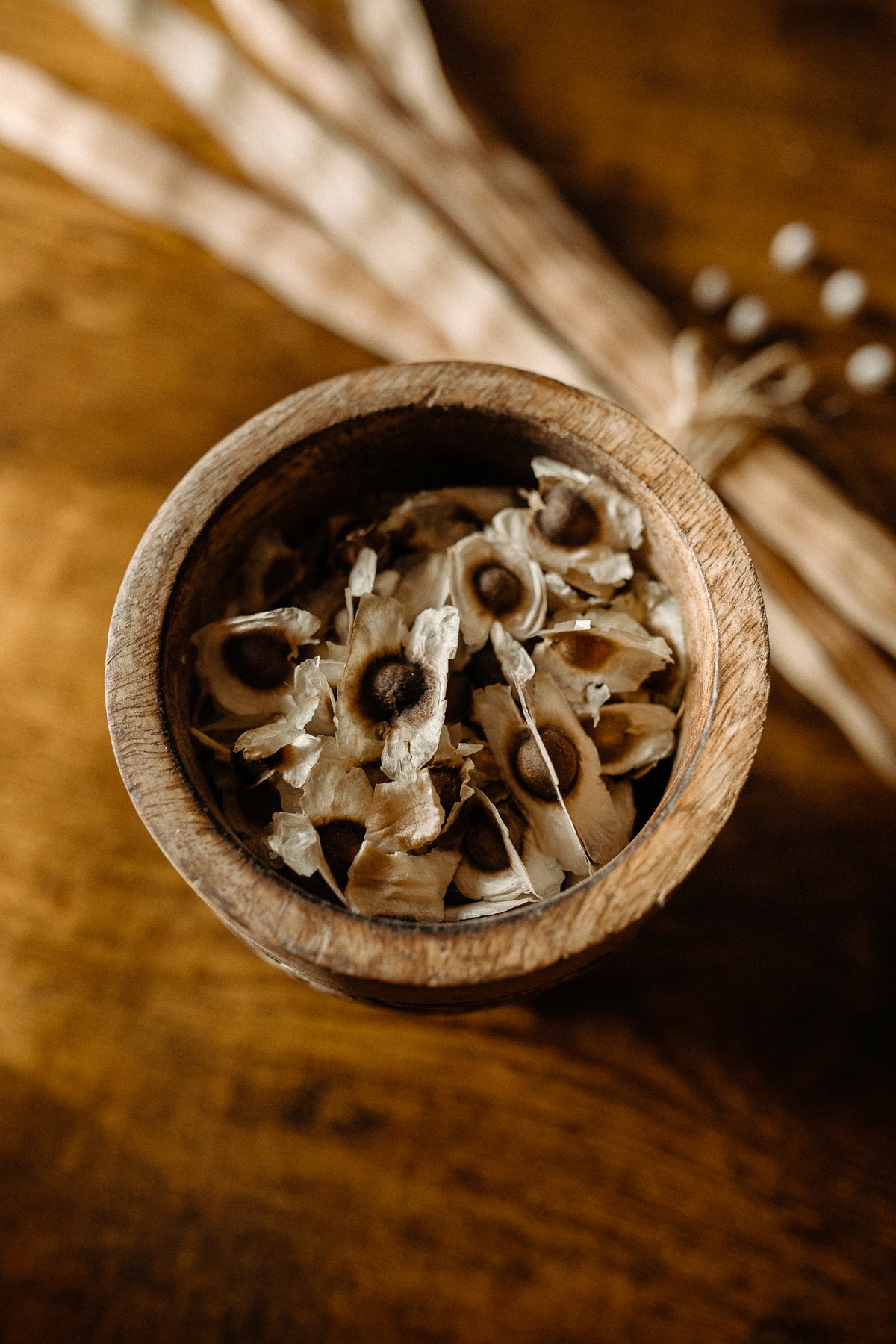 Moringa Seeds