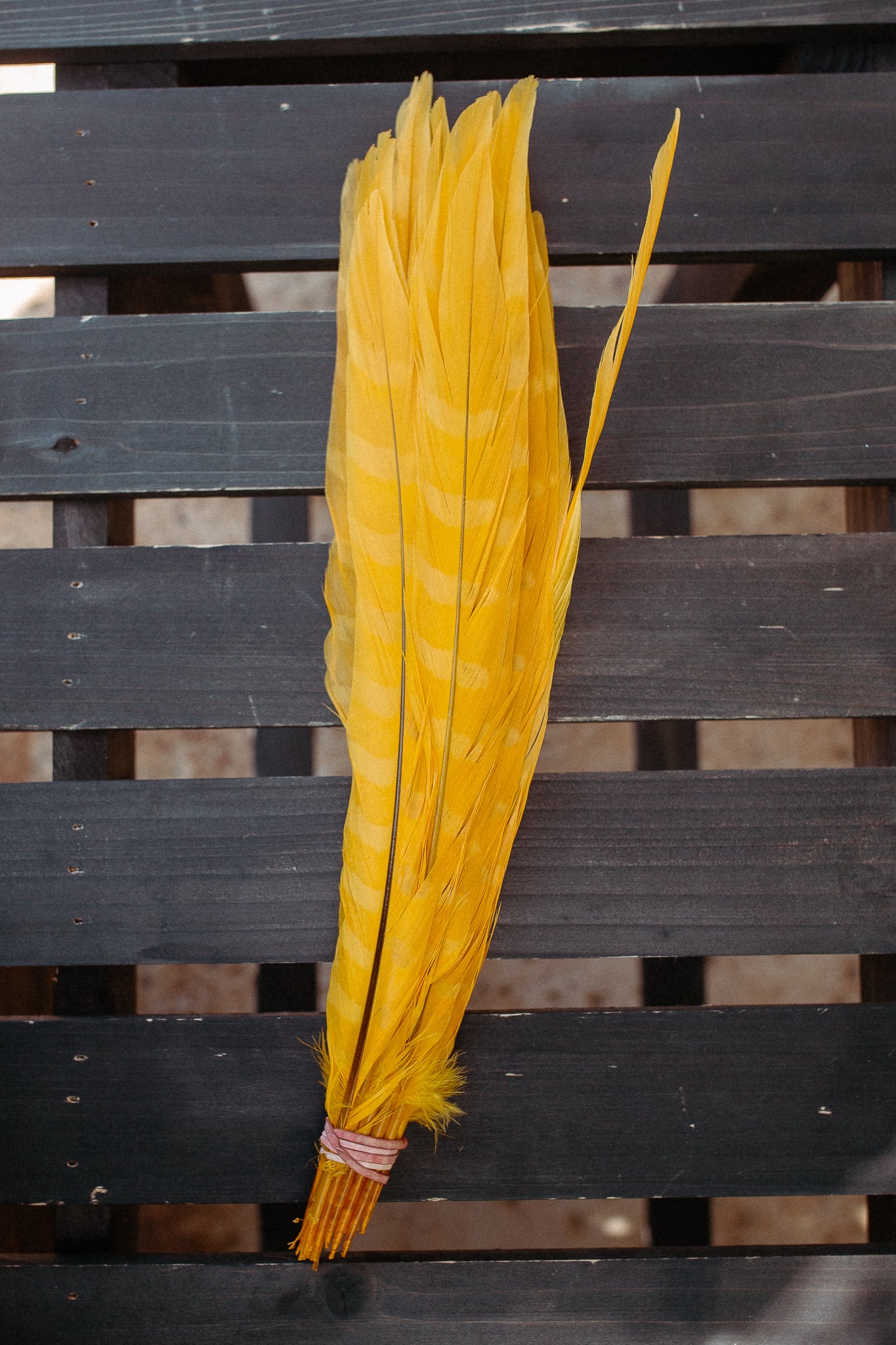 Feathers - Cuchillos 14 inch