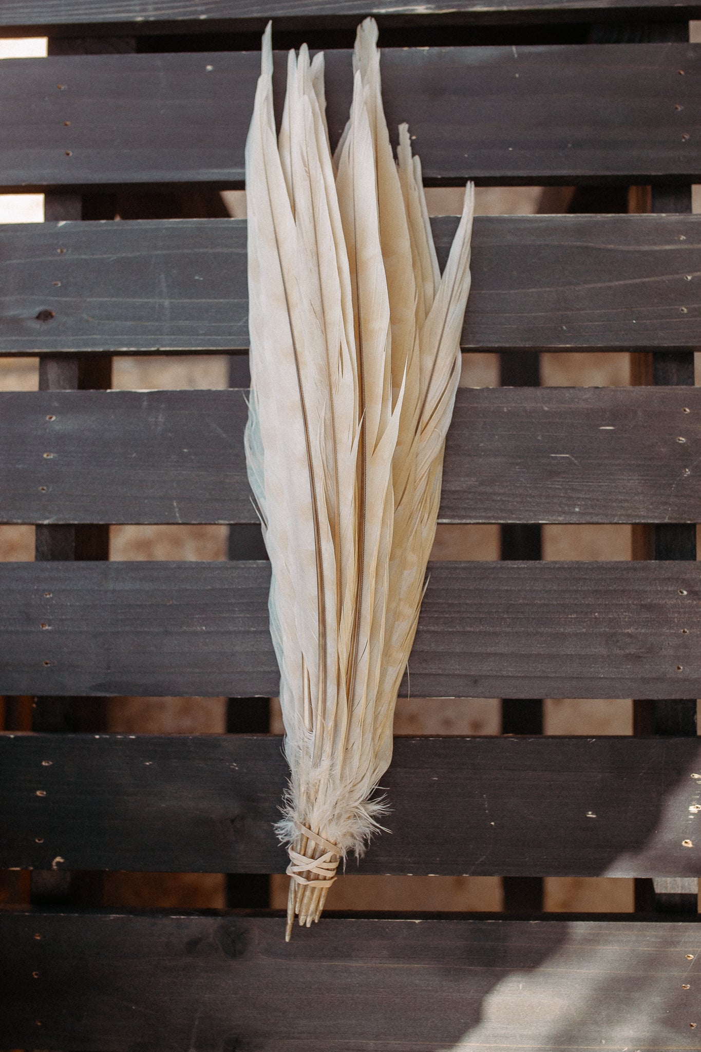 Feathers - Cuchillos 14 inch