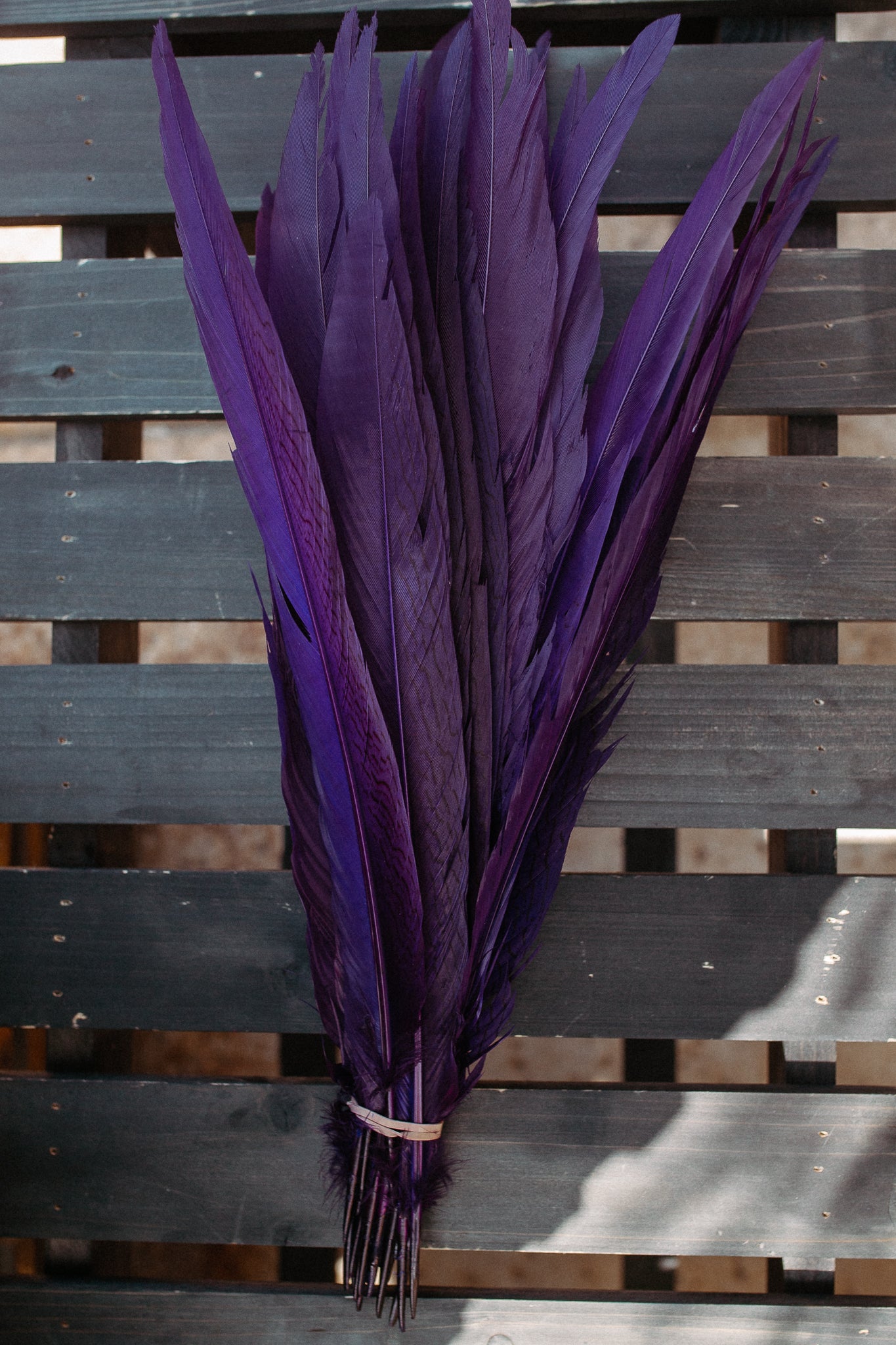 Feathers - Cuchillos 14 inch