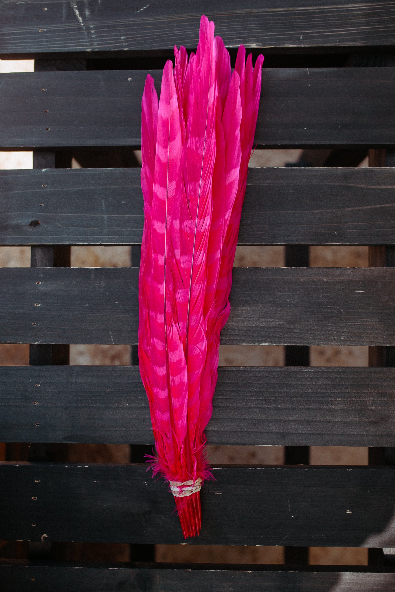 Feathers - Cuchillos 14 inch