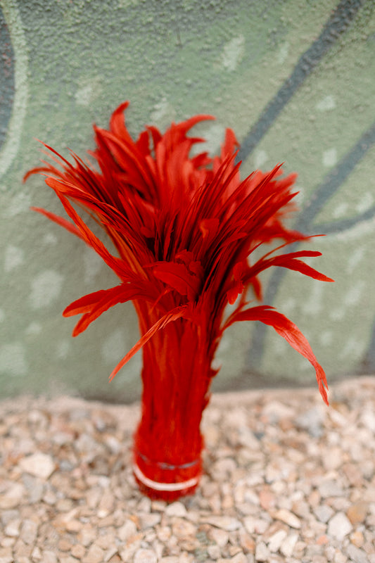 12-14" Red Dyed Rooster Tail Feathers