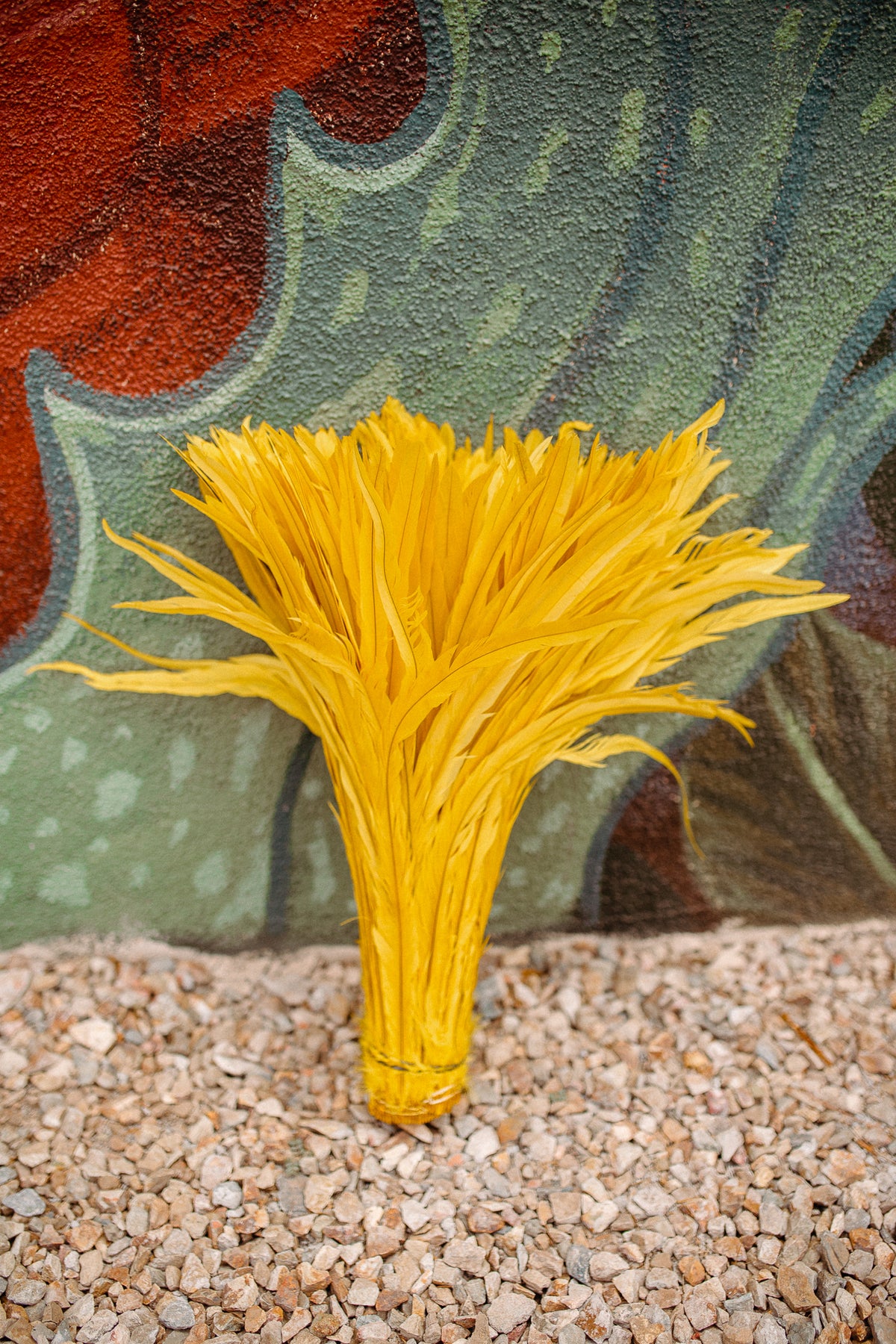 18 - 20 " Yellow Dyed Rooster Tail Feathers