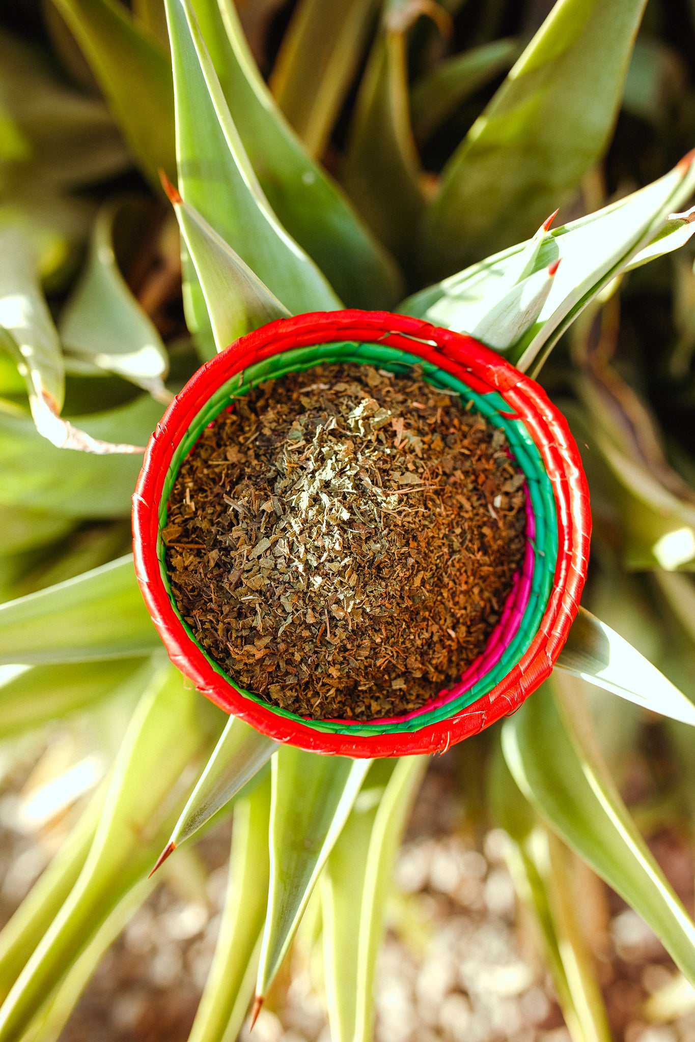 Loose Leaf Nettle