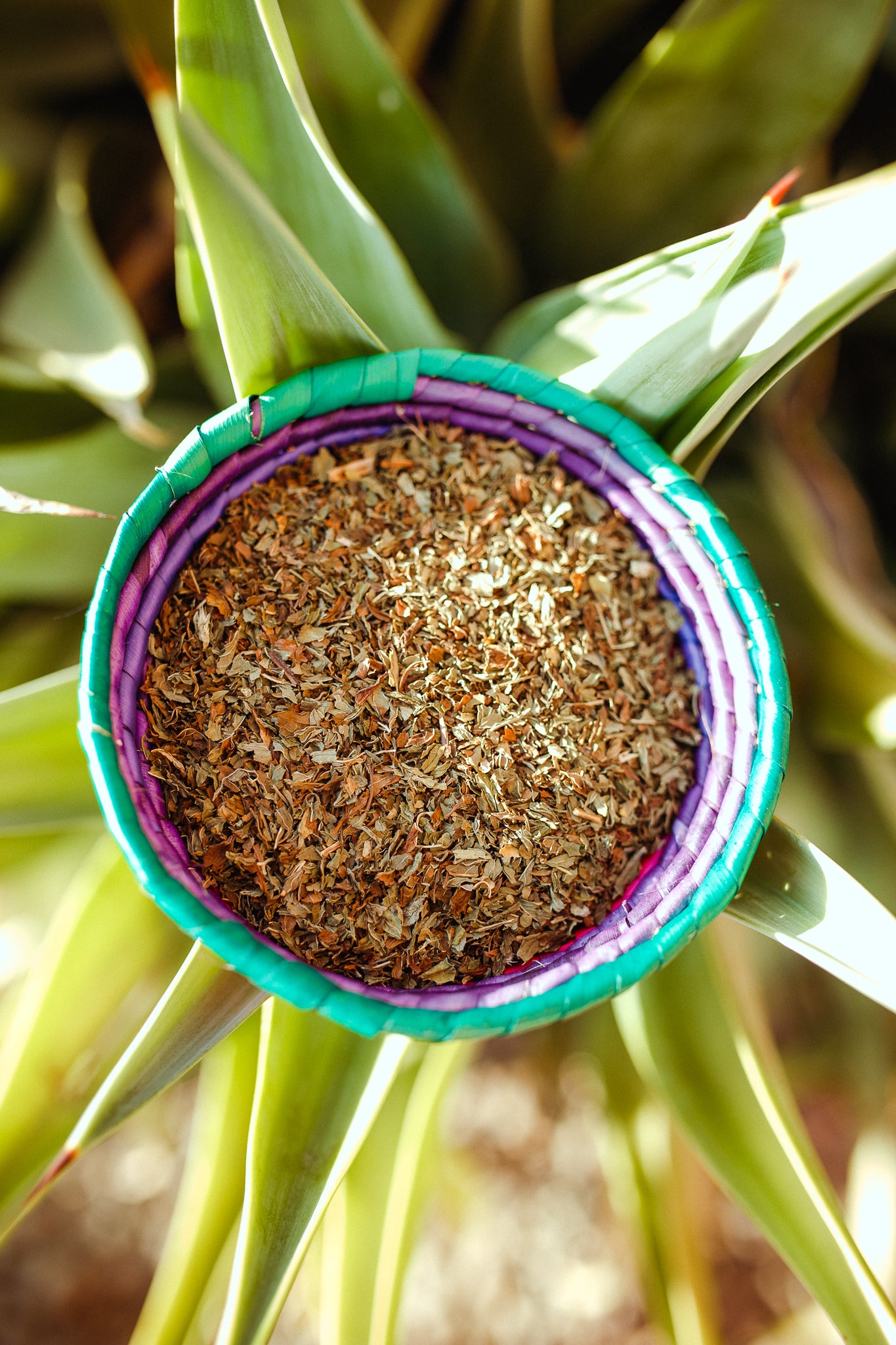 Loose Leaf Speartmint