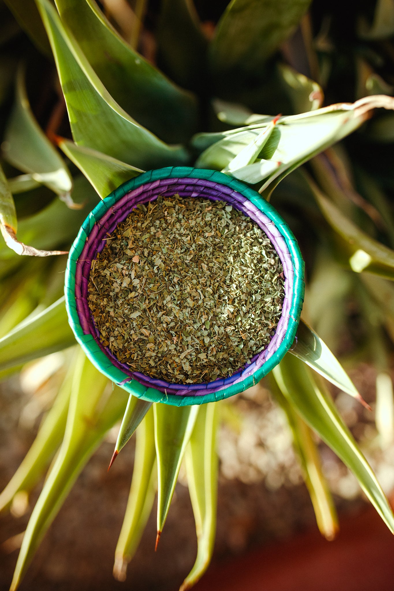 Loose Leaf Moringa Leaf