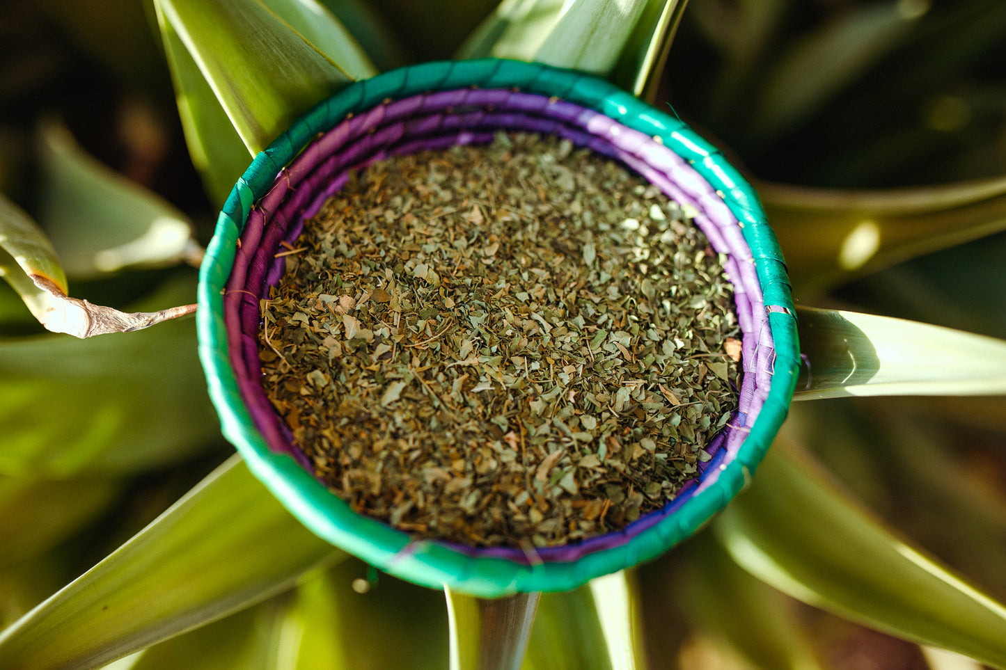 Loose Leaf Moringa Leaf