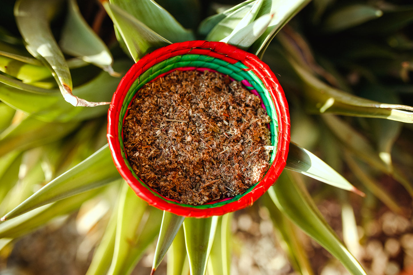 Loose Leaf Mugwort
