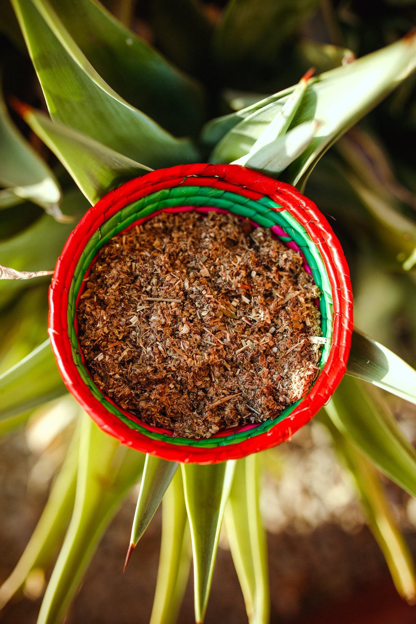 Loose Leaf Mugwort