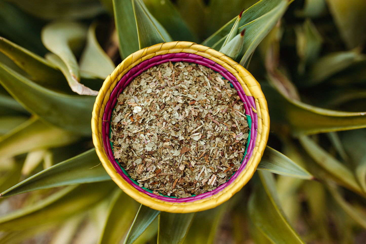 Loose Dandelion Leaf