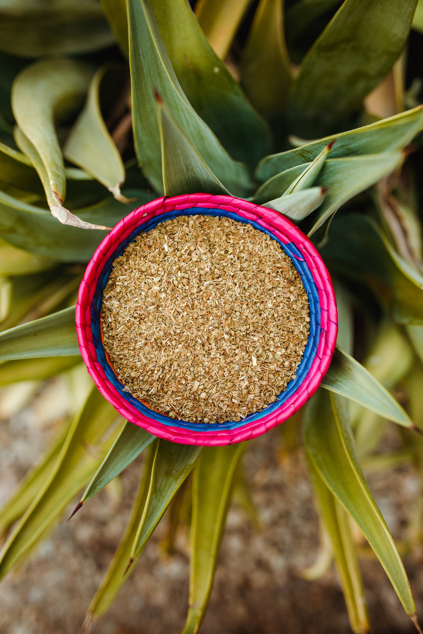 Loose Leaf Oregano