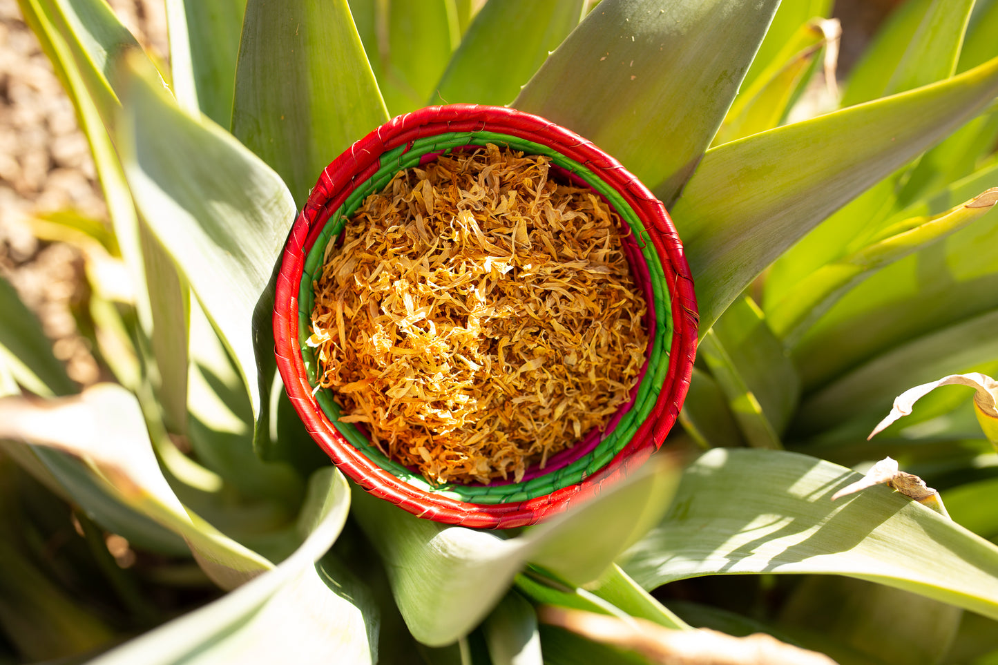 Loose Leaf Calendula