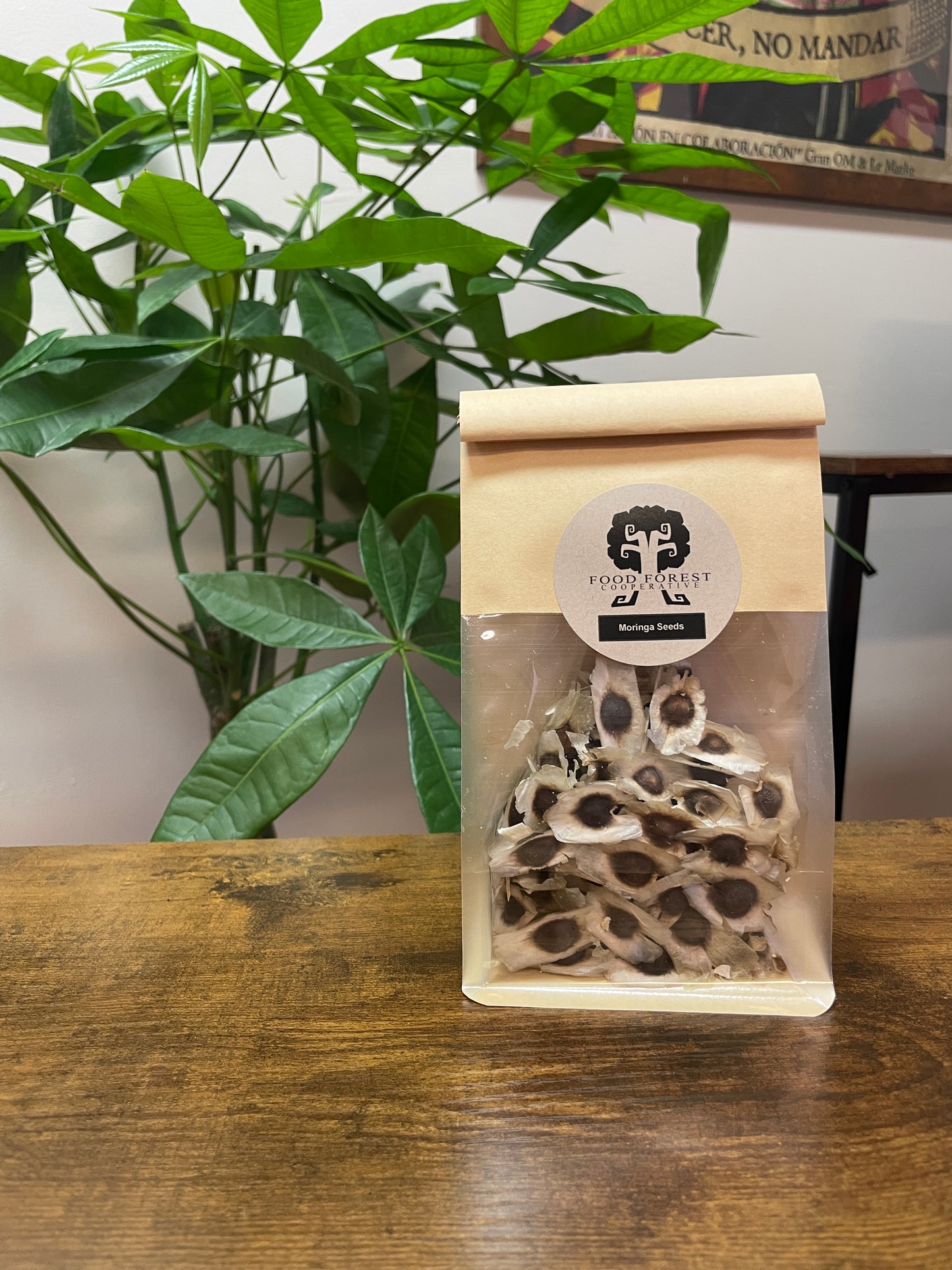 Moringa Seeds