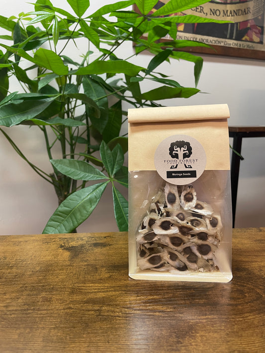 Moringa Seeds