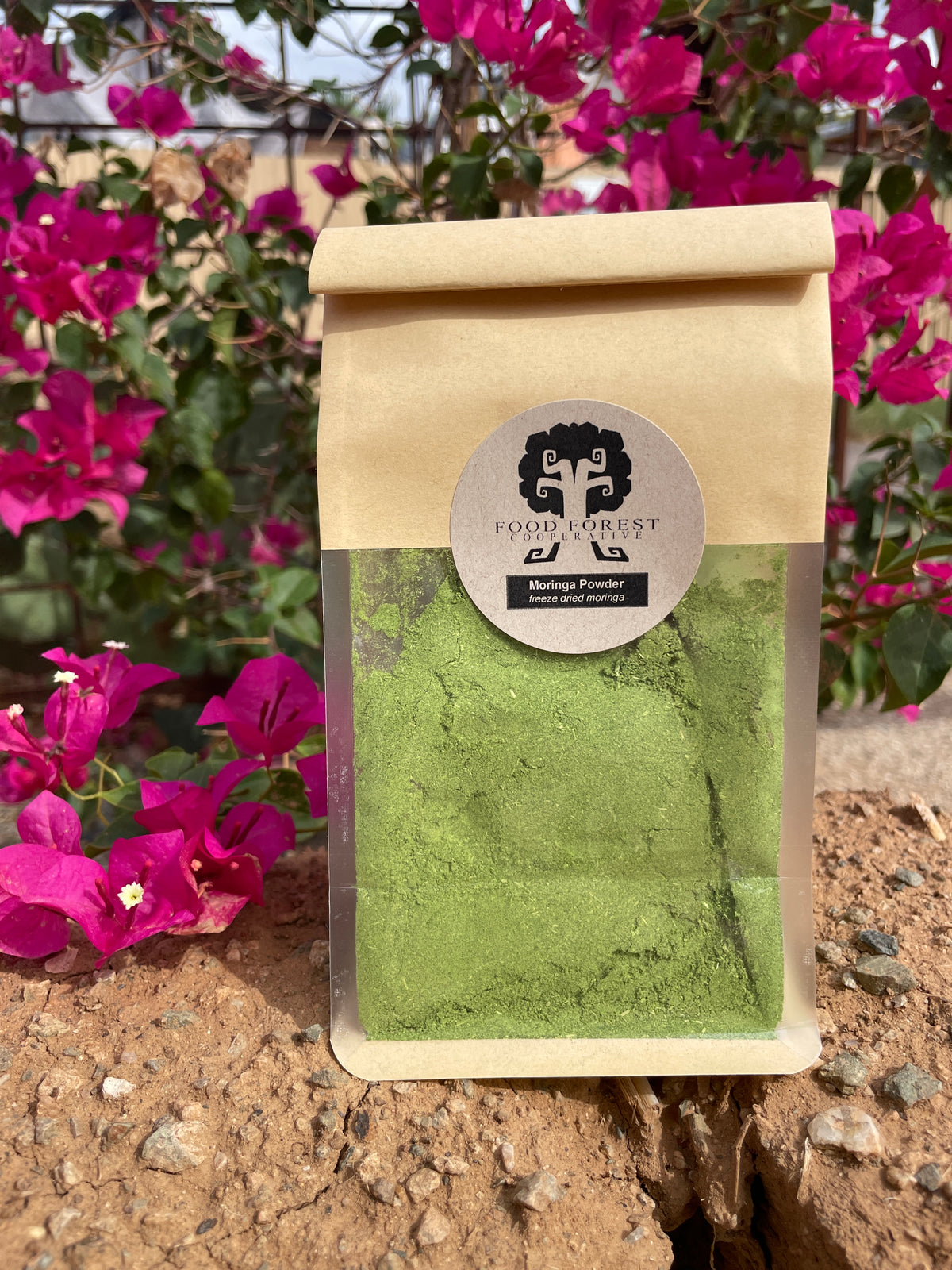 Moringa Powder