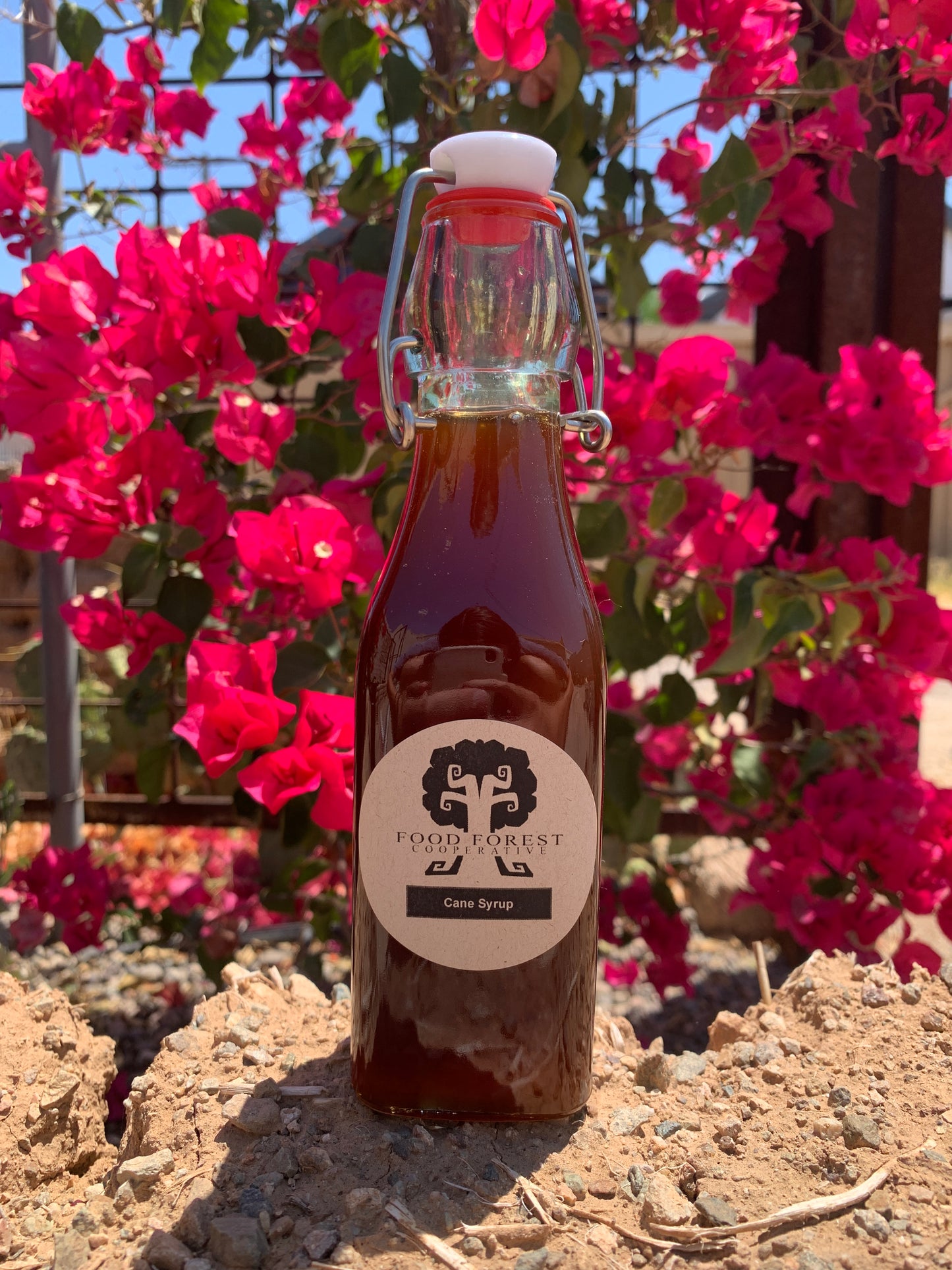 Pure Cane Syrup - Multiple Infusions